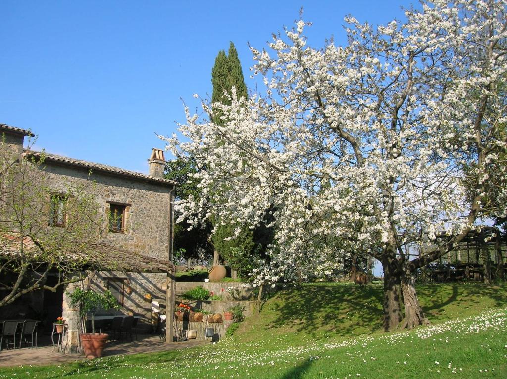Villa La Chiusetta à Orvieto Extérieur photo